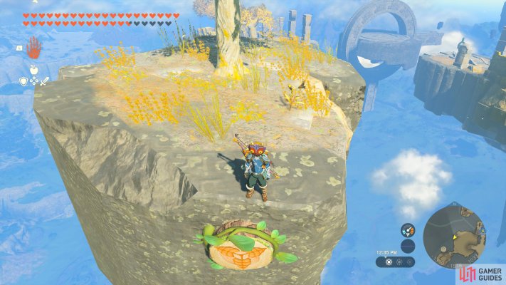Korok Seed