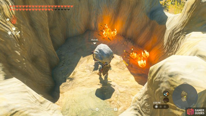 Korok Seed