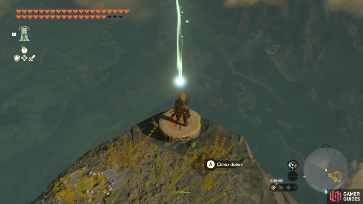 Korok Seed