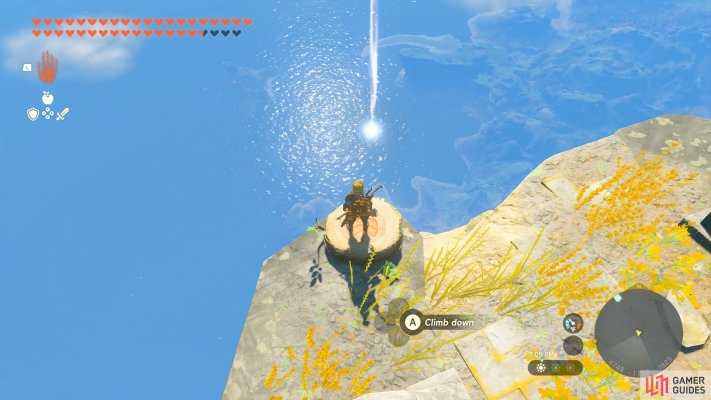 Korok Seed