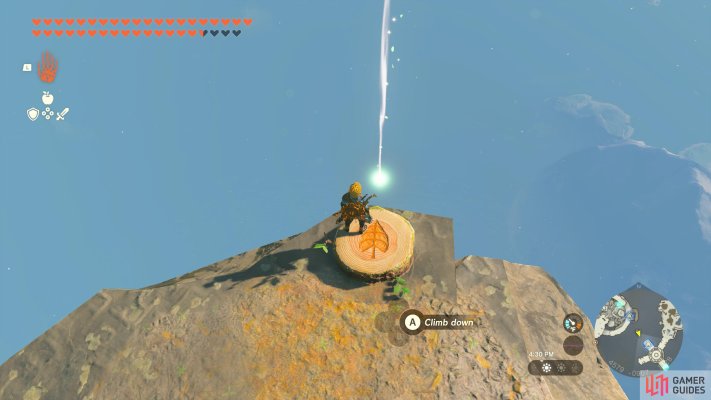 Korok Seed