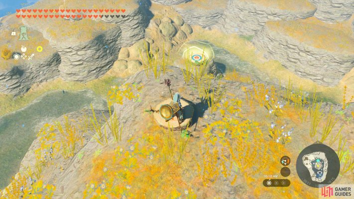 Korok Seed