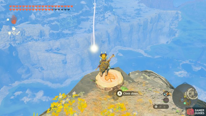 Korok Seed
