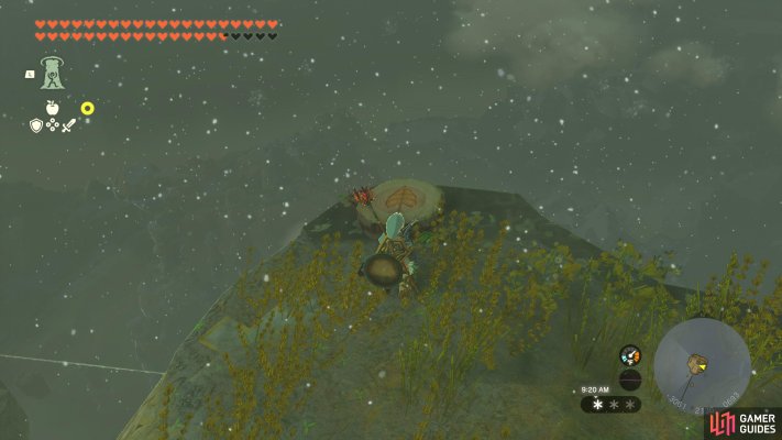 Korok Seed
