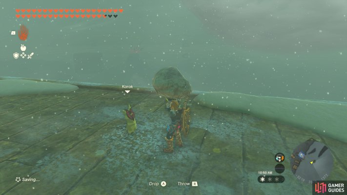 Korok Seed