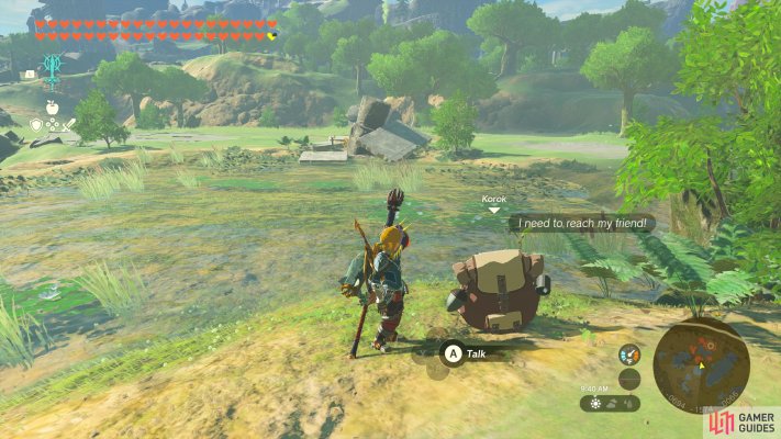 Korok Friend