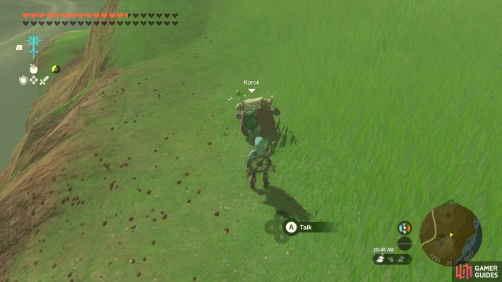 Korok Friends