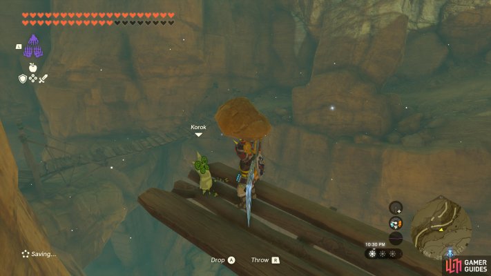 Korok Seed
