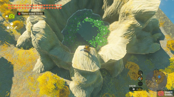 Korok Seed