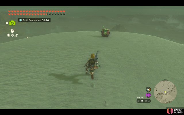 Korok Friend