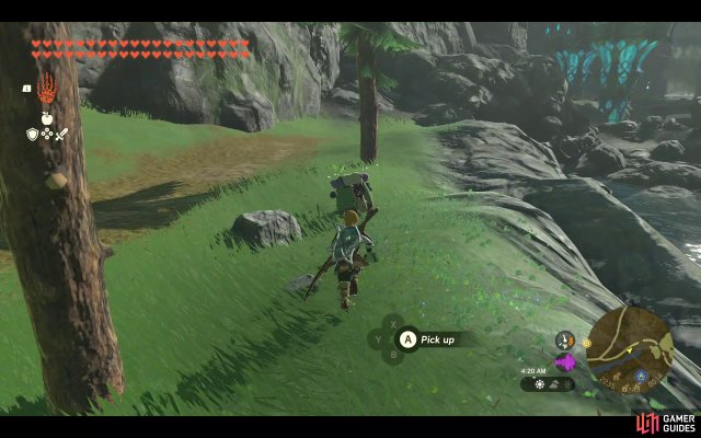 Korok Friend