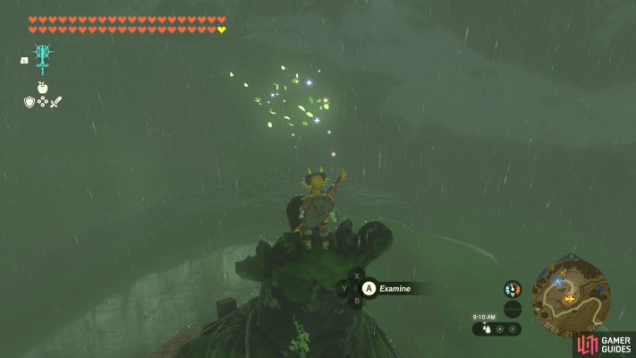 Korok Seed
