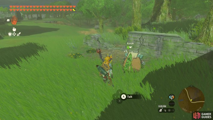 Korok Friend