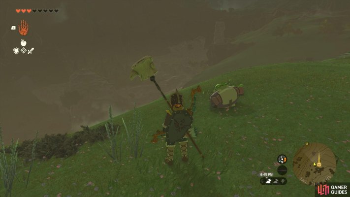 Korok Friend