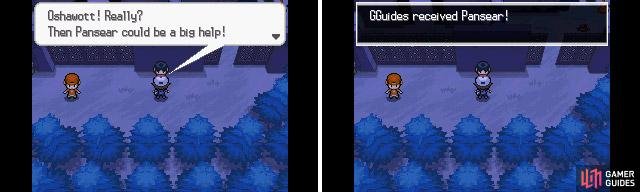 The Pokemon you receive is strong against the type that your starter Pokemon is weak to.