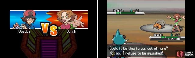 Burgh uses a variety of Bug type Pok&eacute;mon.