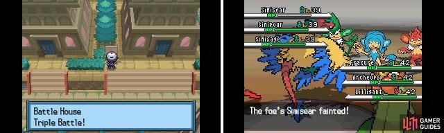 Along the north of town, you can engage in exciting (and busy) Triple/Rotation Battles.