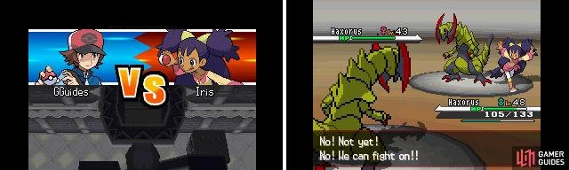 The Leader is dependent which version of Black/White you&rsquo;re playing. Either way, they use Dragon types.