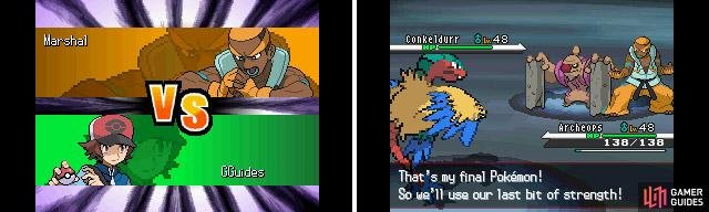 South-East: Marshal the Fighting-type Expert