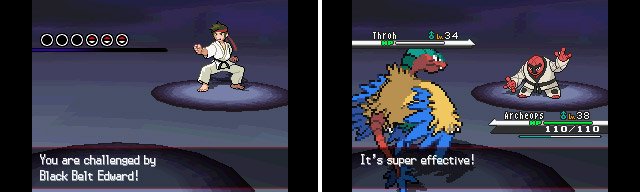 Black Belts obviously use Fighting types and they are well worth the EXP you get.