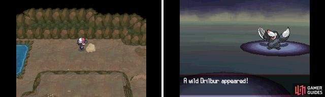 Unlike shaking grass, you don&rsquo;t always find Pokemon in dust clouds.