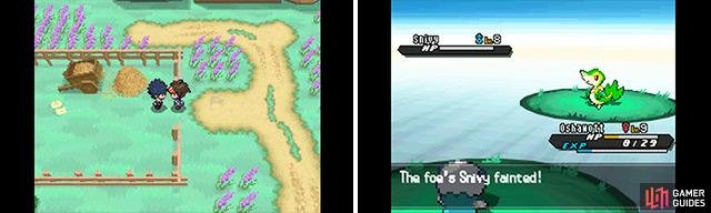 With our handy guide, you shouldn&rsquo;t find yourself caught off-guard by your rival!