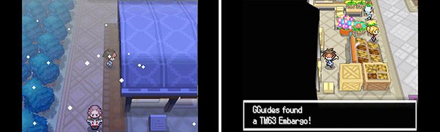 Embargo prevents the opposing Pokemon from using its held item. The Pokemon&rsquo;s trainer also cannot use items for five turns.