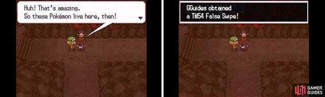 To fill in Reversal Mountain&rsquo;s Habitat List you&rsquo;ll need to search for Pokemon both inside and outside.