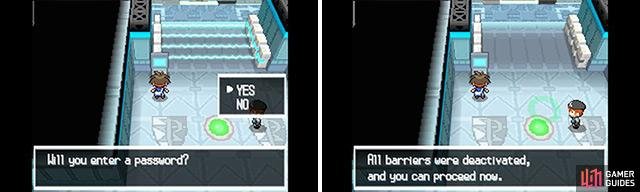 If the password is a Pokemon, it doesn&rsquo;t matter what case you use. So if &ldquo;Zekrom&rdquo; is the answer, something like &ldquo;ZEKROM&rdquo; would be okay too. Or even &ldquo;zEKrOm&rdquo;.