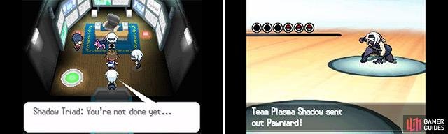Shadow (as the name suggests) uses Dark Pok&eacute;mon.