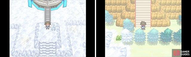The final showdown is nigh&hellip; Ensure your Pokemon are ready for anything!
