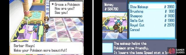 Resetting EVs this way costs money, but it&rsquo;s often easier than retraining a new Pokemon.