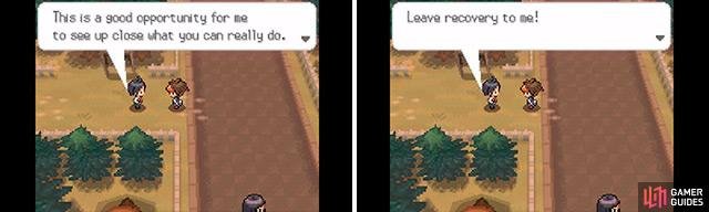 There&rsquo;s no need to hold back with Cheren to heal you; it&rsquo;s time to go all guns blazing!