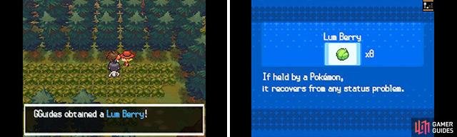 Lum Berries cure any status condition when held, so they&rsquo;re great for many strategies.