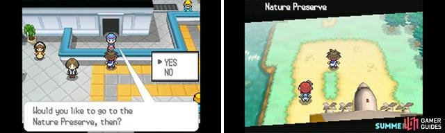 The Nature Preserve has lots of new Pok&eacute;mon to find and catch.
