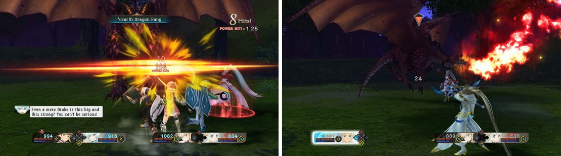 Focus on the Drake&rsquo;s category weakness while avoiding his Fire Breath attack.