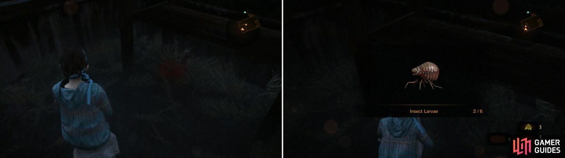 Right where you found the fuel in Claire&rsquo;s chapter, you&rsquo;ll find a Larvae with Natalia!