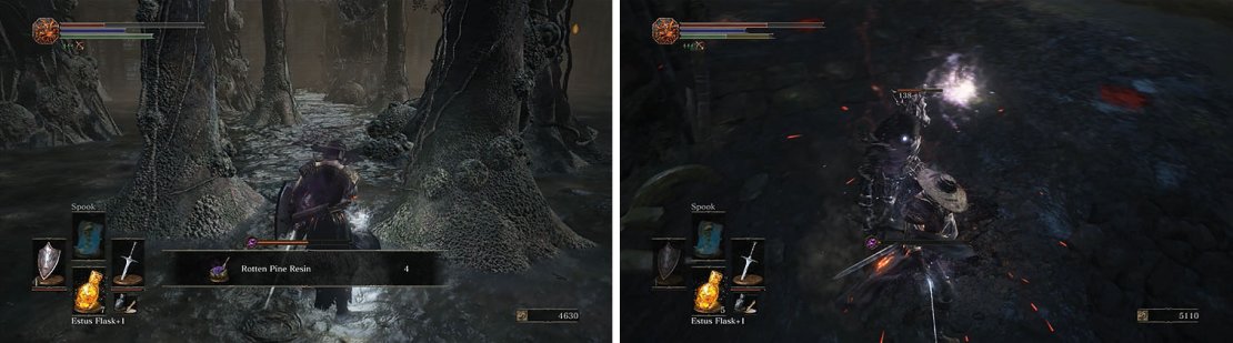 Collect the items as you pass through the woods (left) and on the other side you&rsquo;ll encounter a Darkwraith (right).