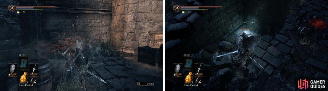 Don&rsquo;t allow the Pus of Man to fully transform (left) and then head through the building and ruch the Crystal Lizard (right).