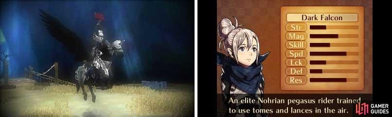 Pegasus aren&rsquo;t even falcons.
