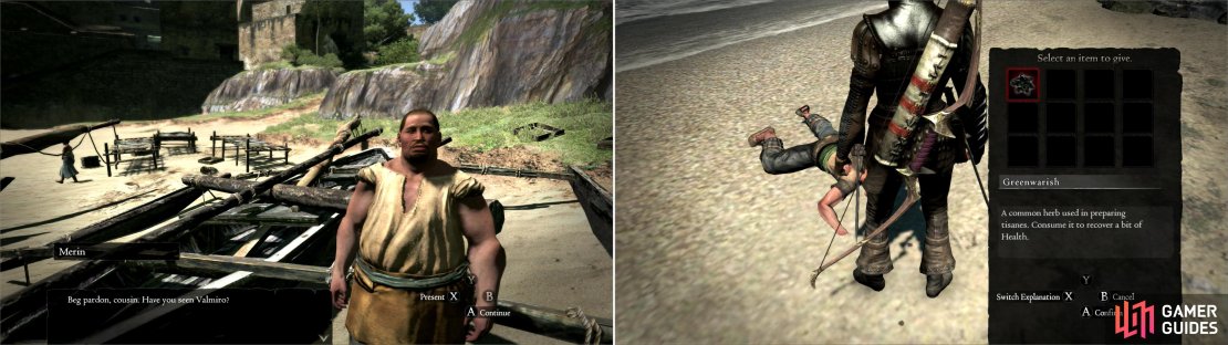 Find Merin around town and he&rsquo;ll ask you to go find the wayward Valmiro (left). The reckless would-be explorer can be found first on the beach of Seabreeze Trail (right) and later near the Encampment. Provide him Greenwarish to revive him.