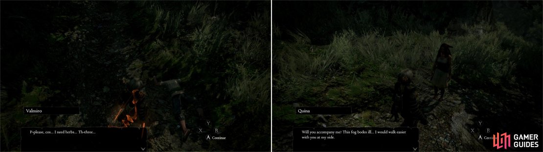 Find Valmiro for a third and final time in the Witchwood (left). Further on you&rsquo;ll locate Quina, who wisely decides to travel with you through the Witchwood (right).