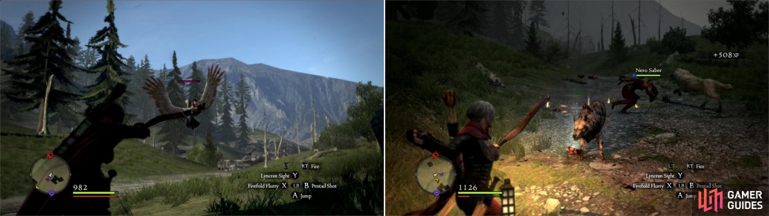 New foes you&rsquo;ll face in the Northface Forest include Snow Harpies (left) and Dire Wolves (right).