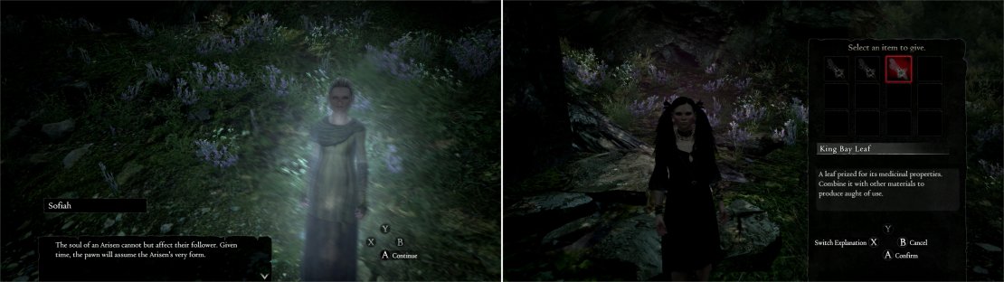 Sofiah - Selene&rsquo;s Arisen - will reveal some facts abou the Pawn-Arisen pairing (left). Now that you have access to the depths of the Witchwood, you can finally give Selene a King Bay Leaf (right).