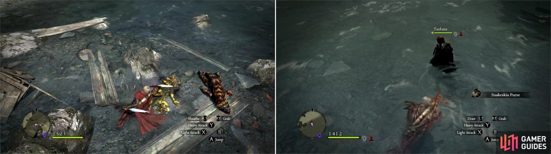 Sulfur Saurian&rsquo;s lurk on the river crossing connecting the Wilted Forest to Cursewood (left). If you explor the coast of the river you can find a fishing spot which dependably contains a Snakeskin Purse (right).