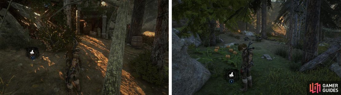 Coin Cache 09 (left) can be found entering the vilage from the south. Survival Cache 20 (right) and the &lsquo;Tossing Gourds&rsquo; challenge can be found in a newly accessible area of the village.