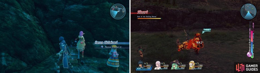 The Physical Stimulant (left) is used for the Mother&rsquo;s Medicine quest. Dek of the Boiling Blood is pretty easy to find (right).