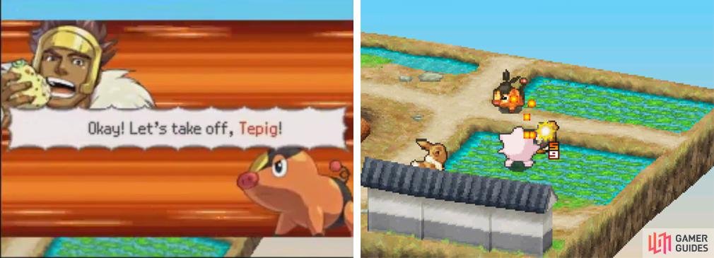 Let&rsquo;s get this fight going: Eevee and Jigglypuff fighting against Tepig.