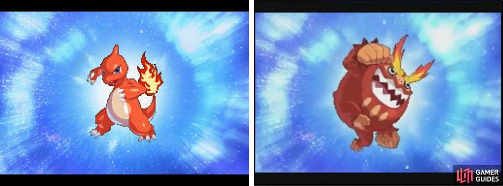 What? Your Pok&eacute;mon is evolving! Your Pok&eacute;mon has evolved into a better Pok&eacute;mon!