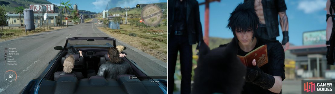 Drive down to the Longwythe Rest Area (left) where you&rsquo;ll find an unexpected delivery - and deliverers (right).